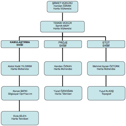 proje yönetimi organizasyon şeması